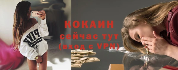 шишки Сибай