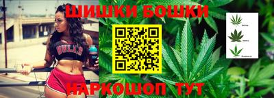 стаф Боровичи