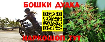 стаф Боровичи