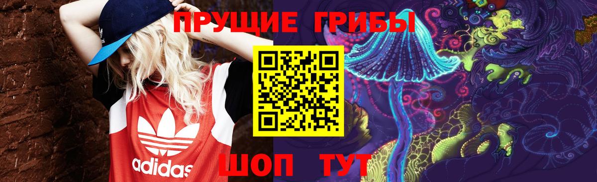 Бахчисарай  Галлюциногенные грибы Psilocybe  Вход с VPN 