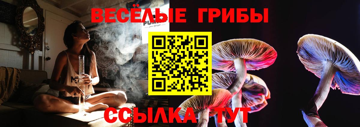 Галлюциногенные грибы Psilocybine cubensis Бахчисарай